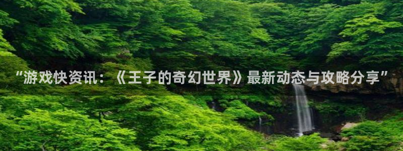 辉达娱乐注册服务条款：“游戏快资讯：《王子的奇幻世界》最新动