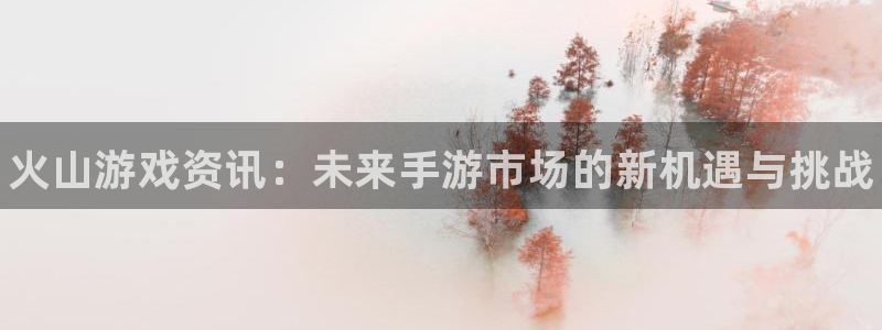 辉达娱乐4主管
