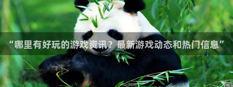 辉达娱乐平台官网注册：“哪里有好玩的游戏资讯？最新游戏动态和