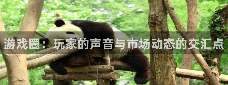 手机版辉达娱乐客户端下载：游戏圈：玩家的声音与市场动态的交汇