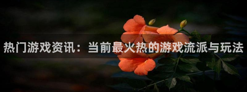 辉达娱乐测速：热门游戏资讯：当前最火热的游戏流派与玩法