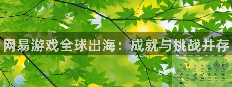 辉达娱乐登陆地址：网易游戏全球出海：成就与挑战并存