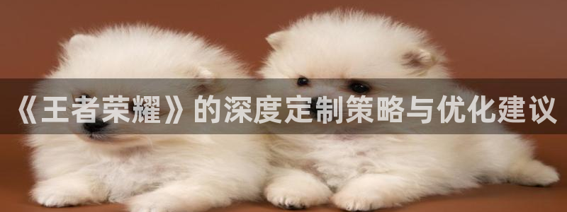 辉达娱乐什么意思：《王者荣耀》的深度定制策略与优化建议