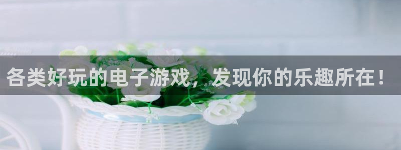 辉达娱乐登录网址：各类好玩的电子游戏，发现你的乐趣所在！