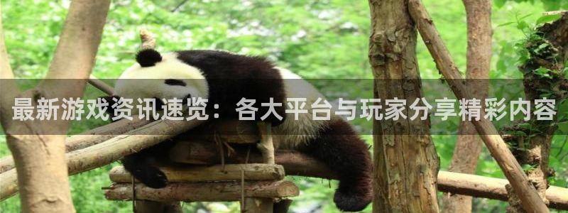 辉达娱乐网页版地址：最新游戏资讯速览：各大平台与玩家分享精彩