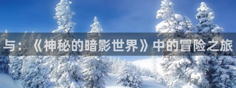 辉达娱乐手机网页版登录：与：《神秘的暗影世界》中的冒险之旅